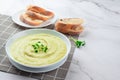 Classic french chilled cream soup vichyssoise - warm or cold potato leek soup topped with microgreens in white bowl on