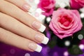 Classic French manicure. Royalty Free Stock Photo