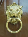 Classic golden door knocker Lion with ring Royalty Free Stock Photo