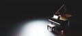 Classic grand piano keyboard Royalty Free Stock Photo