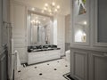 Classic gray bathroom interior design