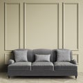 Classic gray sofa,pillows with geometic black and white print standing in classic interior Royalty Free Stock Photo