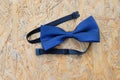 Classic groom accessories: blue bow tie