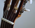 Classic guitar head Royalty Free Stock Photo