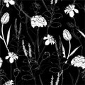 Classic hand drawing sketch carnation black and white seamless pattern vector design for fashion,fabric,wallpaper Royalty Free Stock Photo