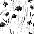 Classic hand drawing sketch carnation black and white seamless pattern vector design for fashion,fabric,wallpaper Royalty Free Stock Photo