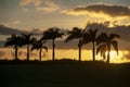 Classic Hawaiian Palm Tree Sunset. Sunsets in Hawaii are like no other. Royalty Free Stock Photo