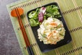 Classic  home-cooked dish Japanese Potato Salad is distinct because of its colorful addition of fresh vegetables, creamy texture Royalty Free Stock Photo