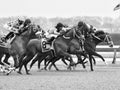 Classic Horse Racing Phots from Aqueduct Racetrack