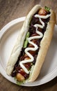 Classic hot dog with frankfurter sausage and sauces Royalty Free Stock Photo