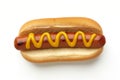 Classic Hot Dog with Mustard Royalty Free Stock Photo