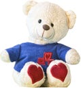 Classic and immortal childhood object white teddy bear loved by children and used by adults as a gift to express love and