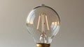 Classic incandescent light bulb with visible filament Royalty Free Stock Photo