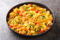 Classic Indian breakfast, egg Bhurji is a spicy mouth watering spin on scrambled eggs closeup in the plate. Horizontal