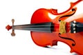 Classic instrument, Violin isolated