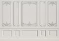 Classic interior wall with mouldings Royalty Free Stock Photo