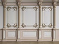 Classic interior wall with mouldings Royalty Free Stock Photo