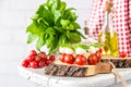 Classic Italian Caprese Canapes Salad With Tomatoes, Mozzarella And Fresh Basil Royalty Free Stock Photo