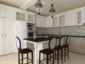 Classic kitchen interior