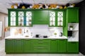 Classic kitchen interior with green trim. Kitchen acrylic countertop with built-in sink Royalty Free Stock Photo