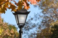 Classic lantern in the city park in autumn. Close up