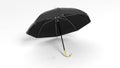 Classic large black umbrella