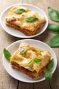 Classic lasagna bolognese