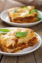 Classic lasagna bolognese Royalty Free Stock Photo