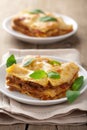 Classic lasagna bolognese Royalty Free Stock Photo