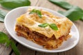Classic lasagna bolognese Royalty Free Stock Photo