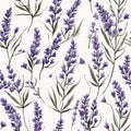 lavender flower rough hand drawn using violet ink seamless pattern Royalty Free Stock Photo