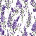 lavender flower rough hand drawn using violet ink seamless pattern Royalty Free Stock Photo