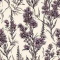 lavender flower rough hand drawn using violet ink seamless pattern Royalty Free Stock Photo