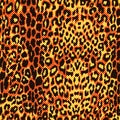 Classic leopard seamless repeating pattern Royalty Free Stock Photo