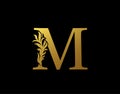 Classic Letter M Icon. Luxury Gold alphabet arts logo. Vintage Alphabetical Icon for book design, brand name, stamp, Restaurant,