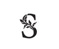 Classic Letter S Heraldic logo. Vintage classic ornate letter vector