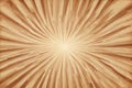 Classic light brown retro burst. Vintage ray background