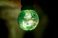Green closeup of a retro 5W watt bulb with glowing filament in a natural background Royalty Free Stock Photo