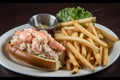Classic Lobster Roll with Freshly Steamed Lobster Meat, Served with a Side of French Fries and Coleslaw Royalty Free Stock Photo
