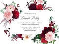 Classic luxurious red roses, marsala carnation, white peony, berry, ranunculus Royalty Free Stock Photo