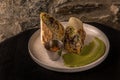 Classic Mexican Burrito dish on white plate