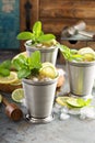 Classic mint julep cocktail