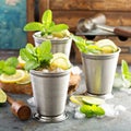 Classic mint julep cocktail