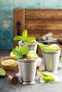 Classic mint julep cocktail