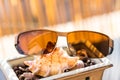 Classic model Sunglasses brown color closeup shoot in a summer day with bamboo fence in background. Selective focus