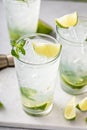 Classic mojito cocktail in tall glasses with lime and mint