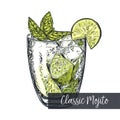 Classic mojito, colorful vector sketch Royalty Free Stock Photo
