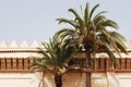 Classic moroccan architecture, wall with palm tree Royalty Free Stock Photo