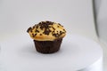 Classic muffin with chocolate drops on a white background. Royalty Free Stock Photo