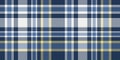 Classic navy blue, white, and yellow tartan plaid pattern in a seamless design Royalty Free Stock Photo